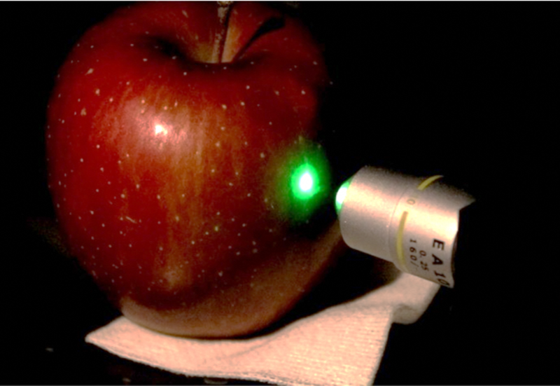 レーザー及びデータサイエンスを駆使したリンゴ内健康機能性成分「プロシアニジン」の簡便な計測技術開発