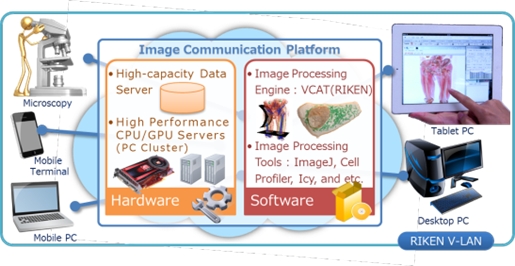 Research image